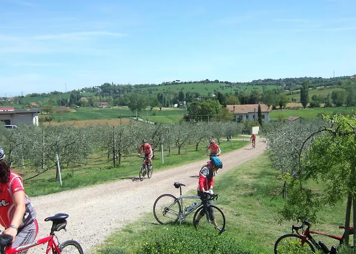 Hotel Lungomare Cesenatico