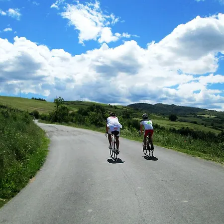 Lungomare Cesenatico