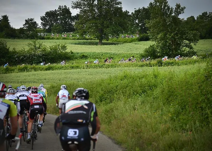 Lungomare Hotel Cesenatico
